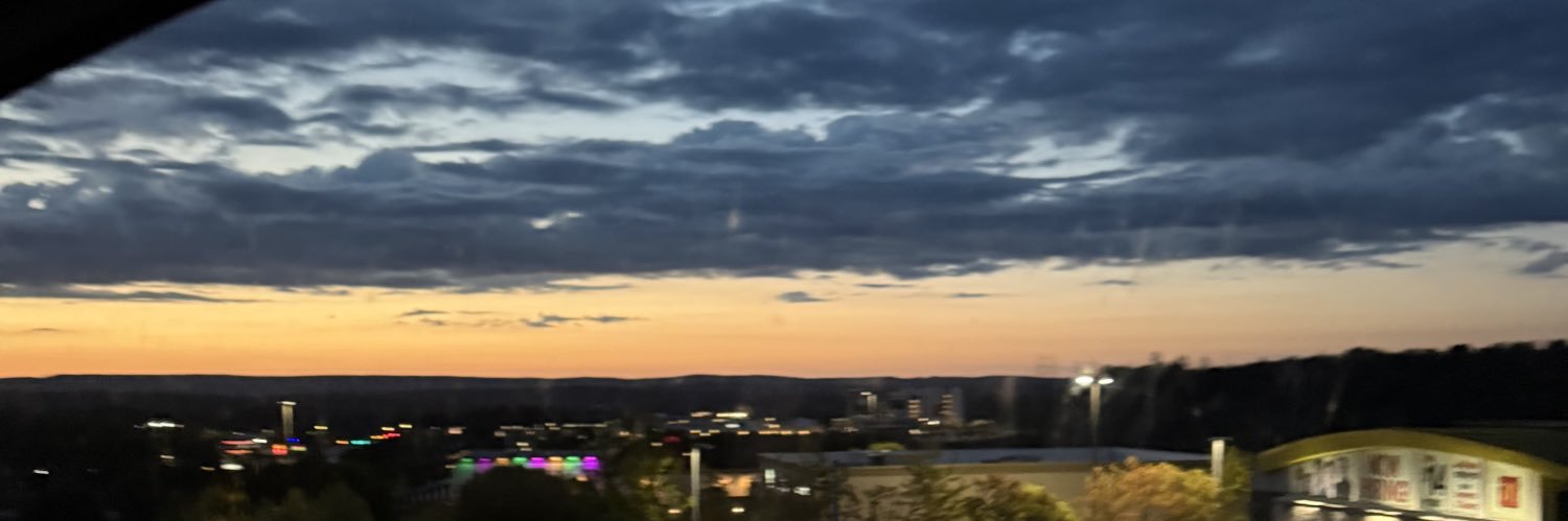 Paige banner