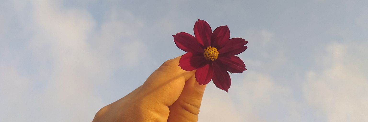 nerbeans's profile banner image