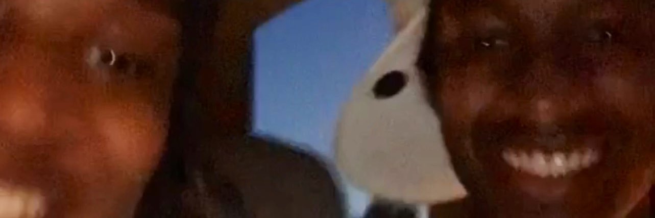 1kbdotty's profile banner image