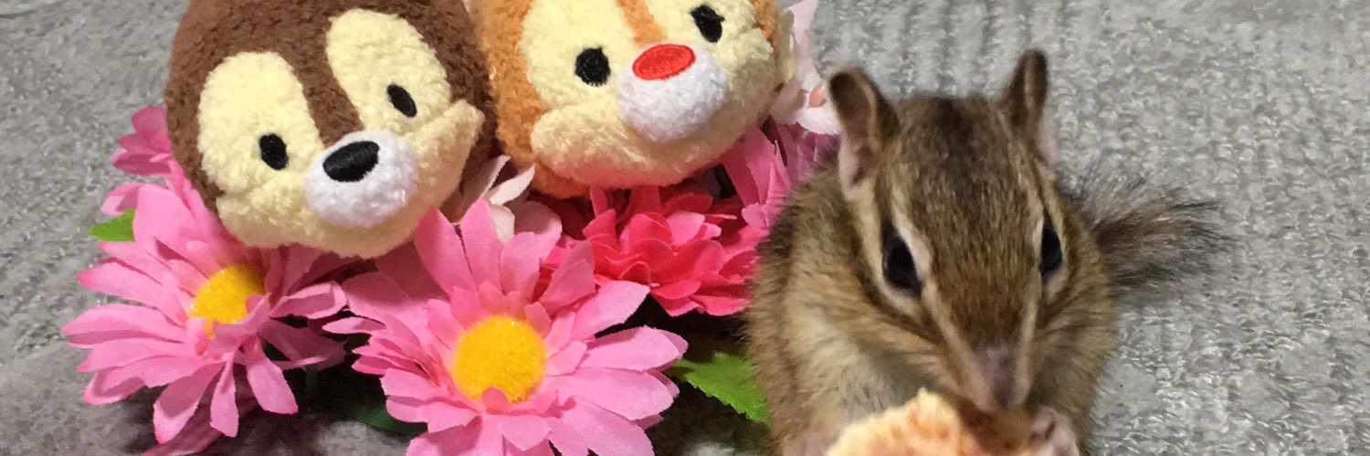 Cryingrebel's profile banner image