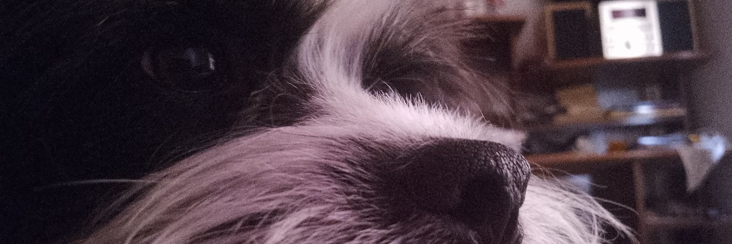 paulyjense's profile banner image