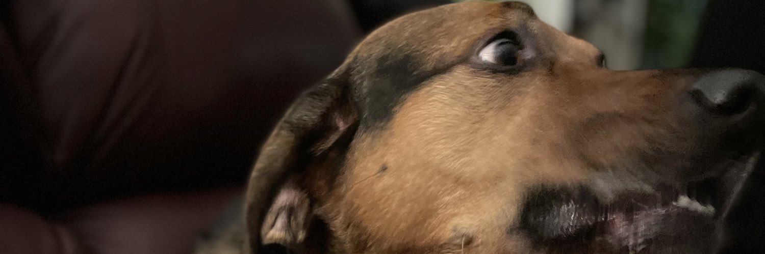 splanko's profile banner image