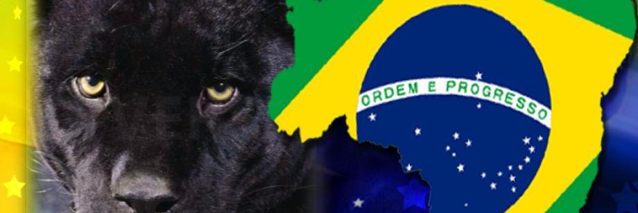 Olivier Timétio banner