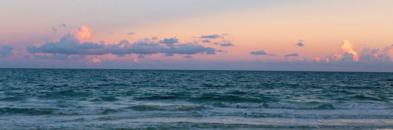 FleursJr's profile banner image