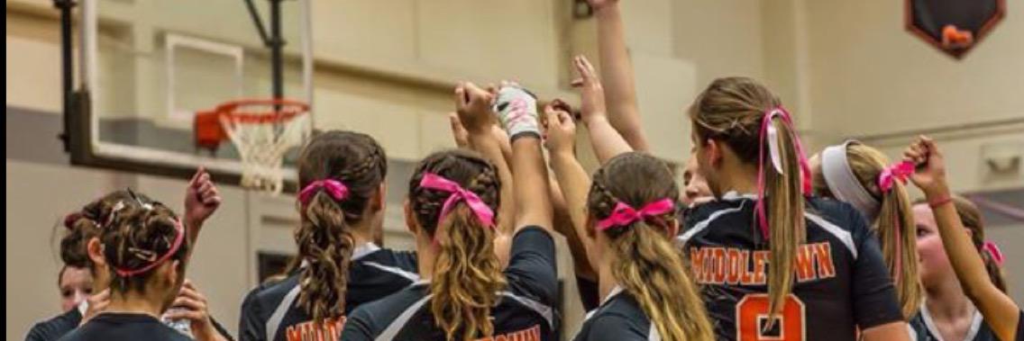 MtownVball's profile banner image