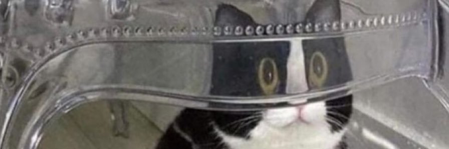 Ron_is_iin_it's profile banner image