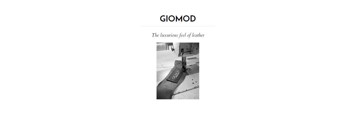giomod's profile banner image