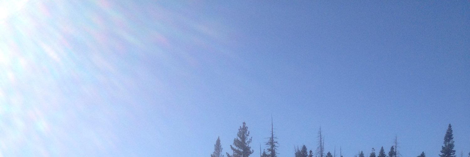 Munin Shapiro banner