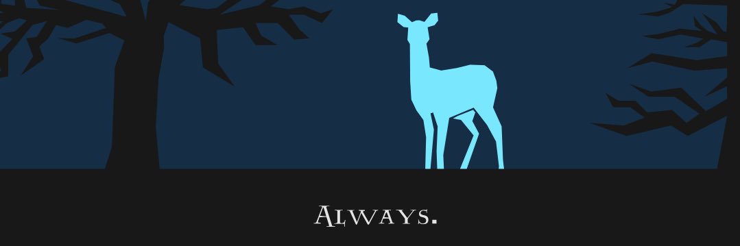 nicvs13's profile banner image