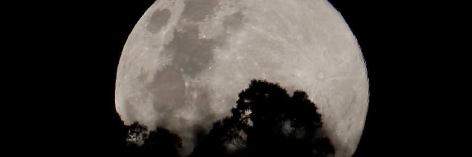 ★🎏 Jill Clarke🎏 ★ on Wadawurrung country banner