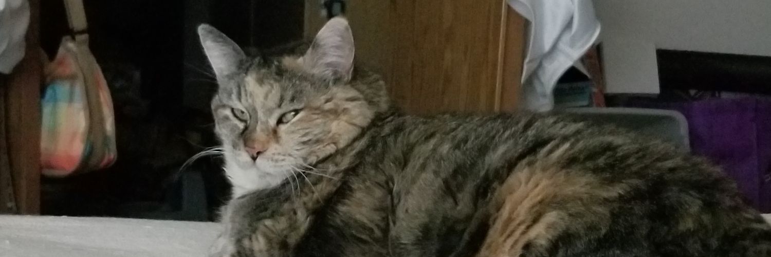 katamb55's profile banner image