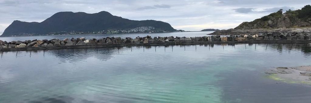 María Elena García Mora banner