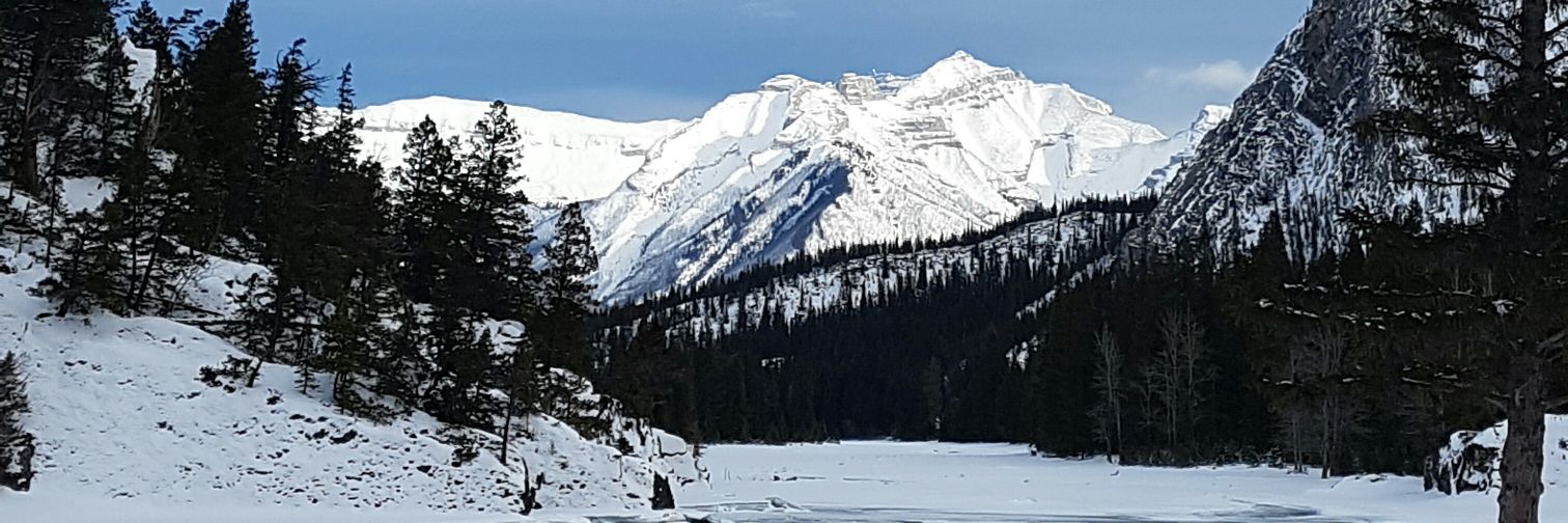 Ryan de Vries banner