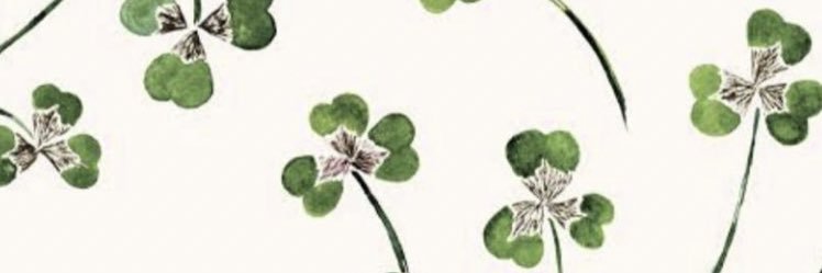 pnaryazc's profile banner image