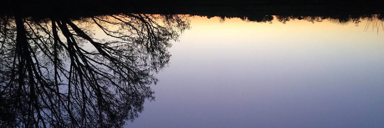 annmul1's profile banner image