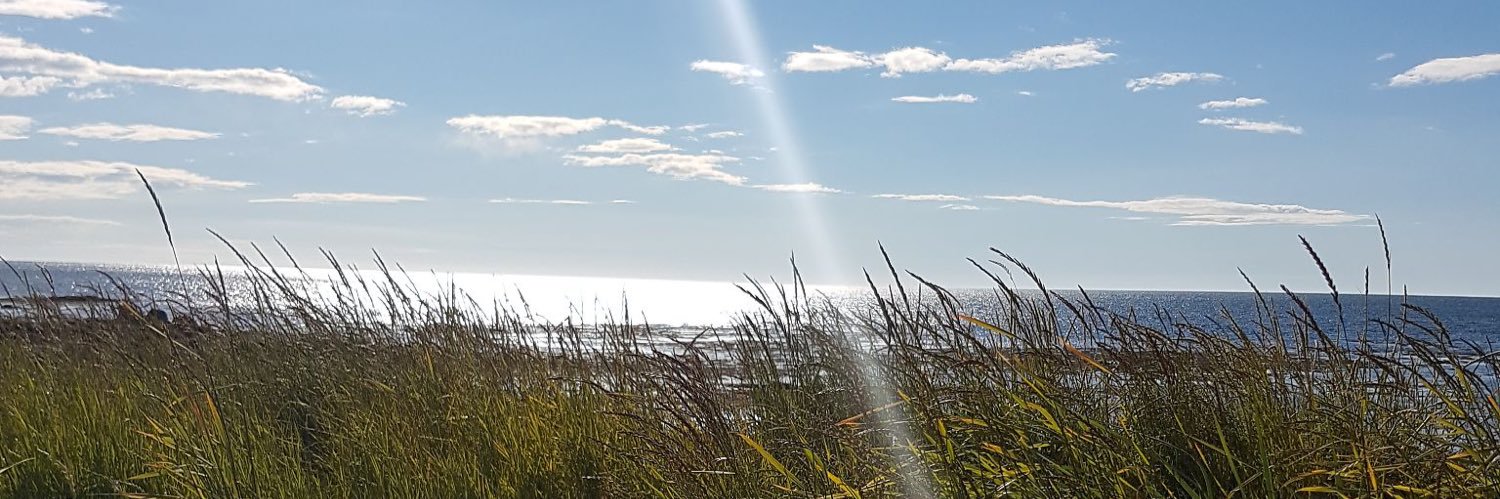 𝙮𝙫𝙤𝙣𝙣𝙚 ✨ banner