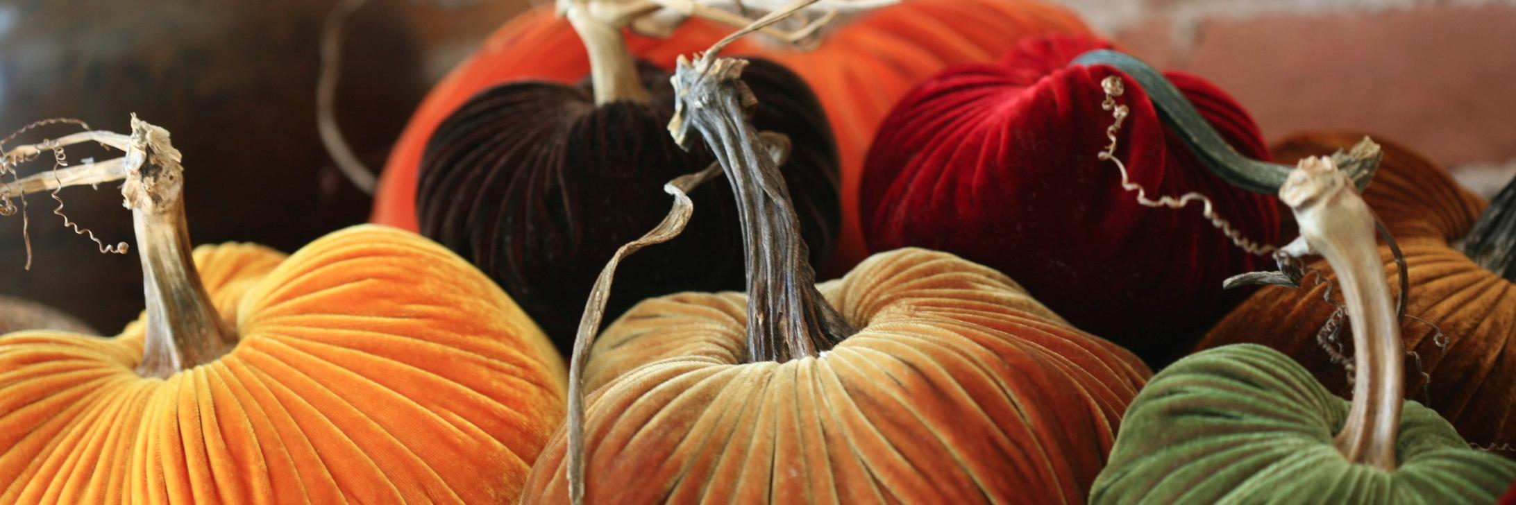 PlushPumpkin's profile banner image