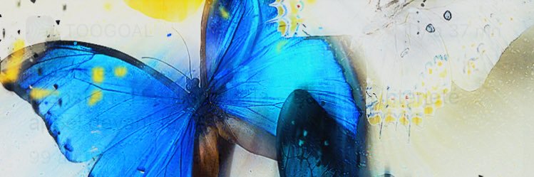 caromouline's profile banner image