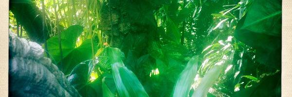 Susanlawson10's profile banner image