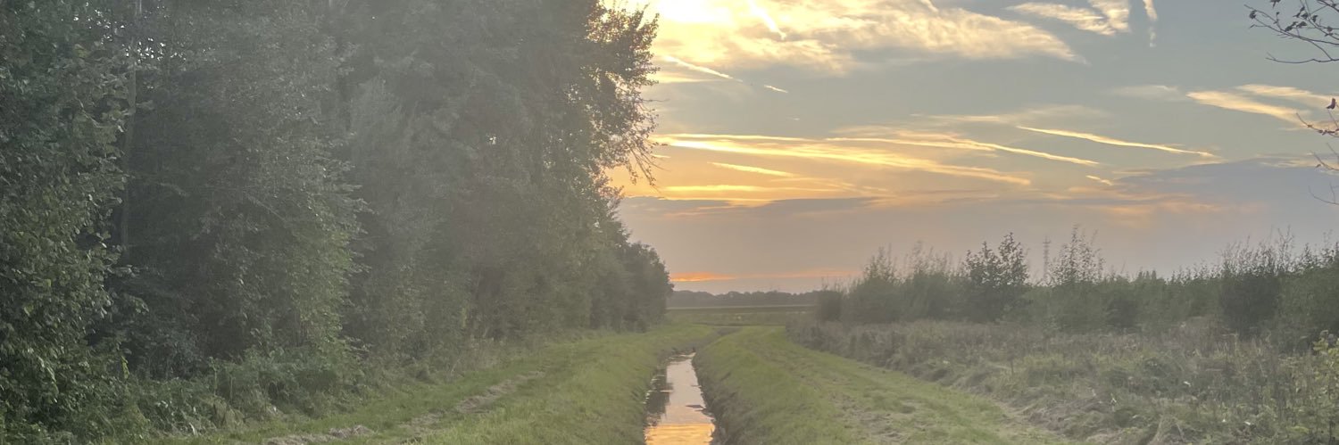(OO)Steven Van Loock banner