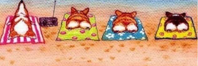 atarheelchick's profile banner image