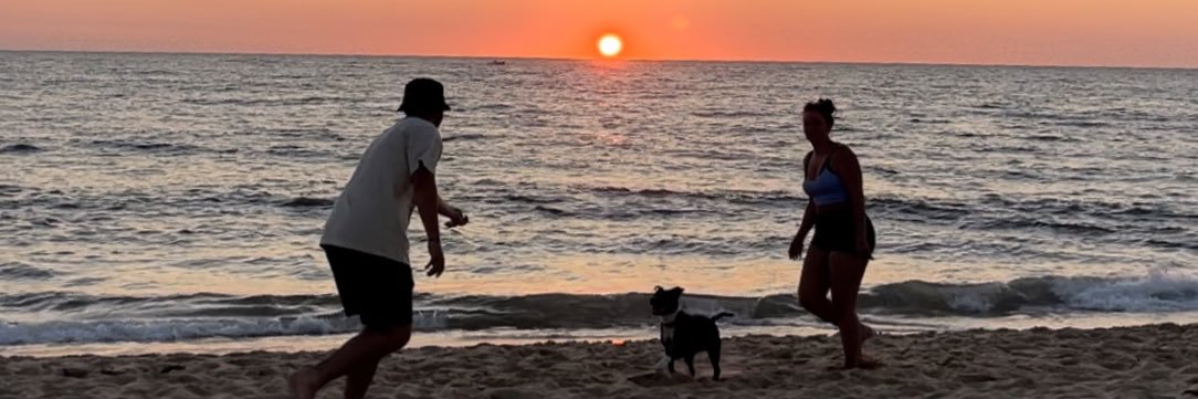 prtmdl's profile banner image
