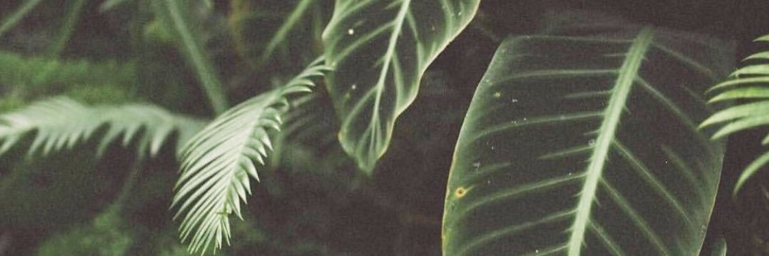Ryan_Vine's profile banner image