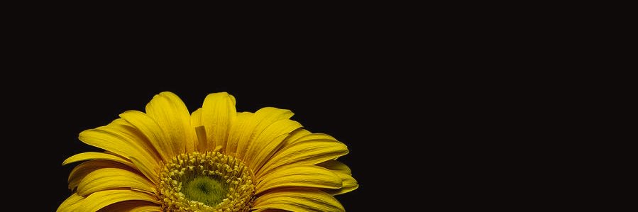 Maucitaa's profile banner image