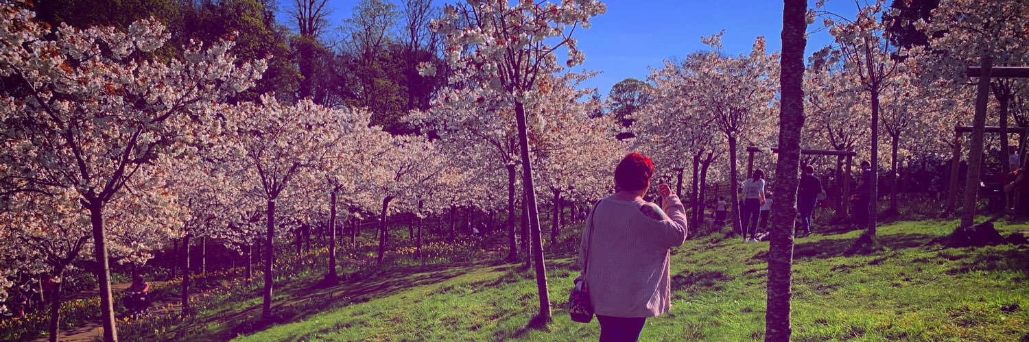 lesdarcy's profile banner image