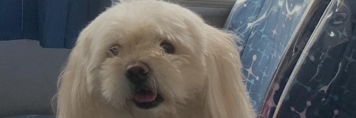 ktekhai's profile banner image