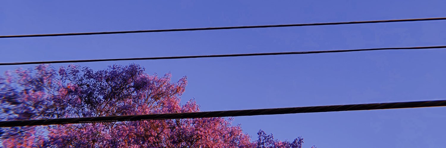 drea_irl's profile banner image