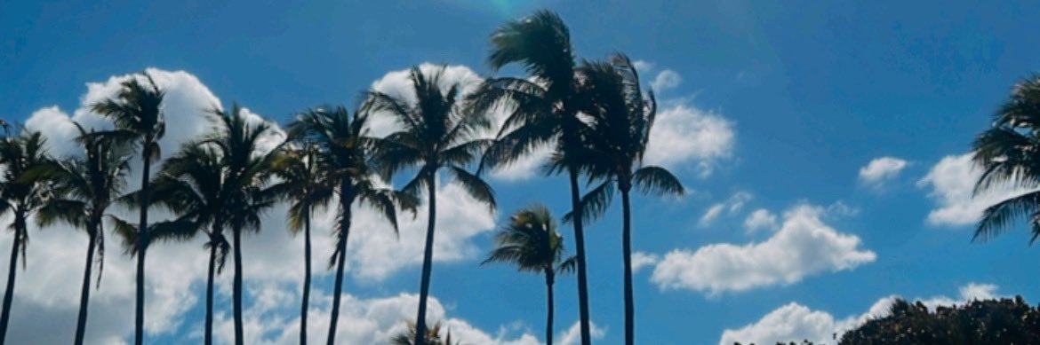 lex_p0w's profile banner image