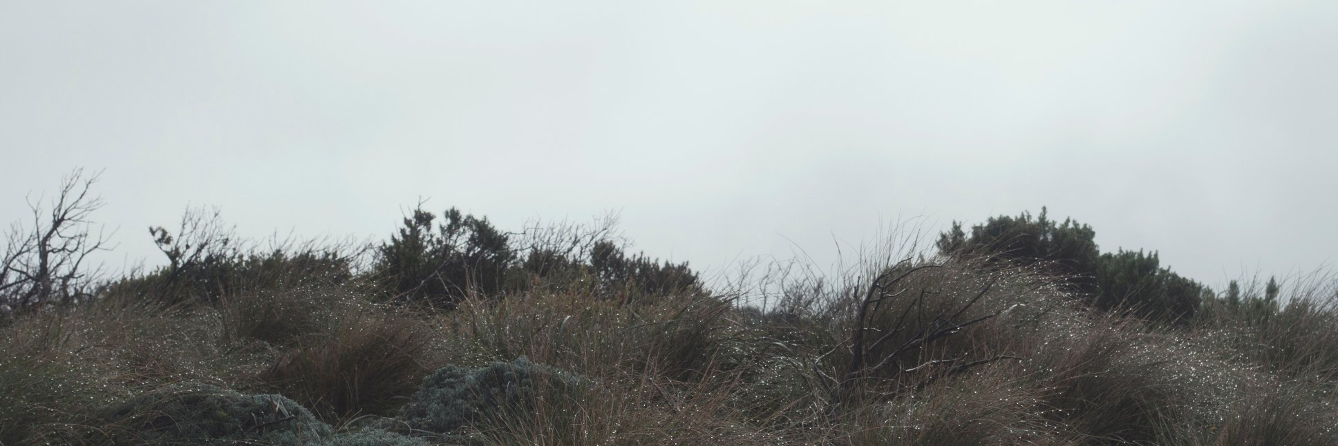 jerry_mannings's profile banner image