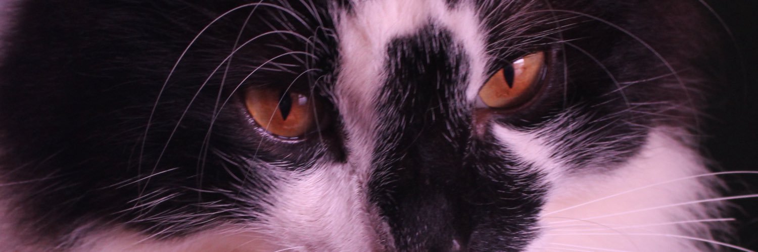 hEuSᶜʳᵛᵍ⁴⁴⁶³ banner