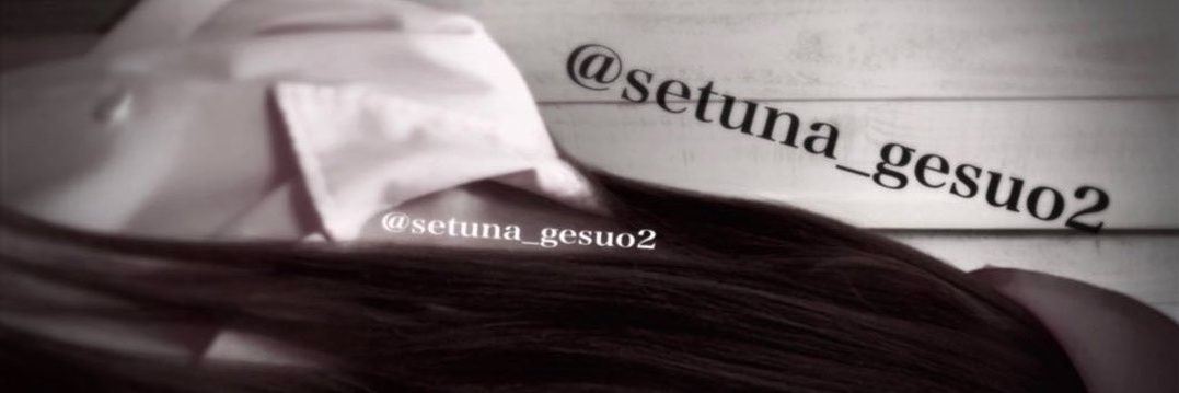 setuna_gesuo2's profile banner image