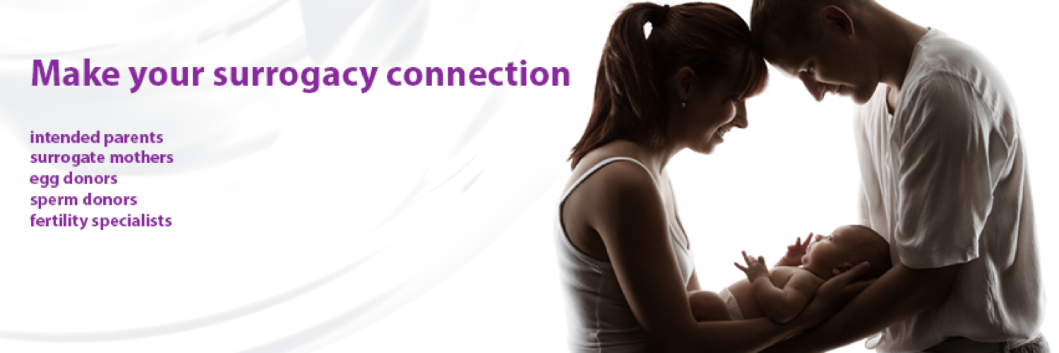FindSurrogate's profile banner image