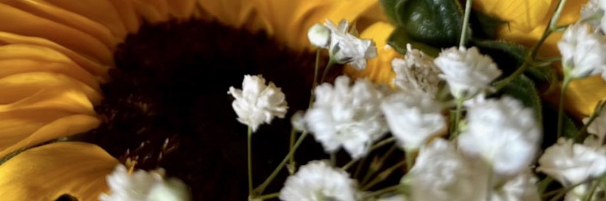 _daisynight's profile banner image