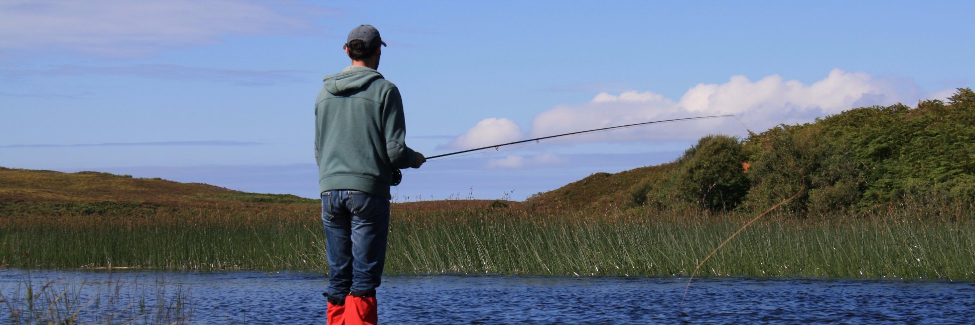 WDavef1's profile banner image