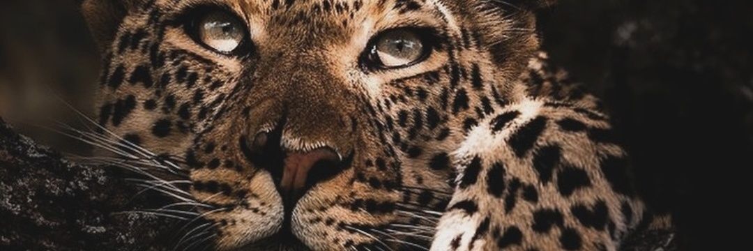 nvin89's profile banner image