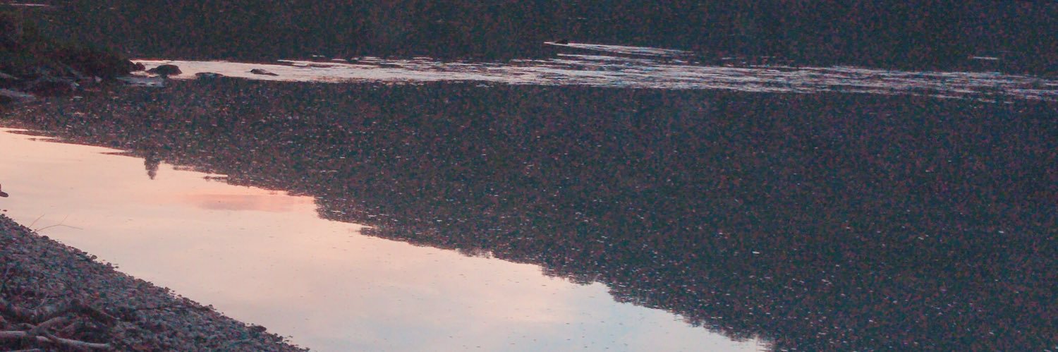 wenpan1's profile banner image