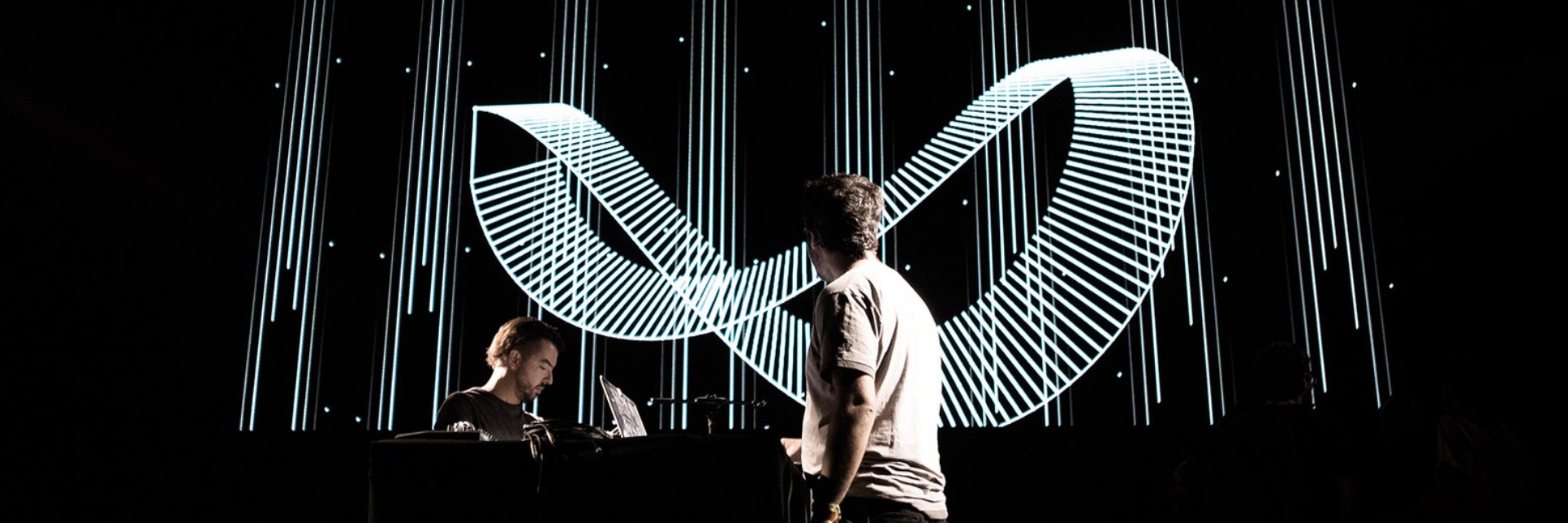 Boris Chimp 504 banner