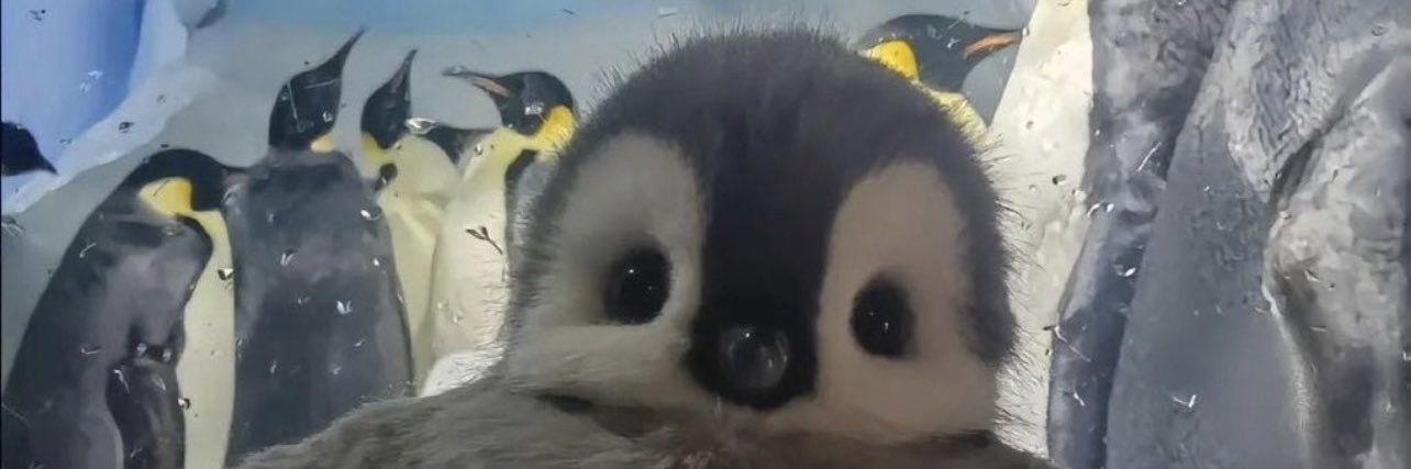 Reqffer's profile banner image