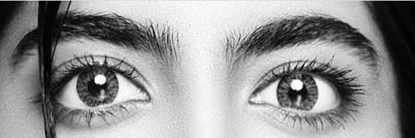 Aneesha Madhok banner