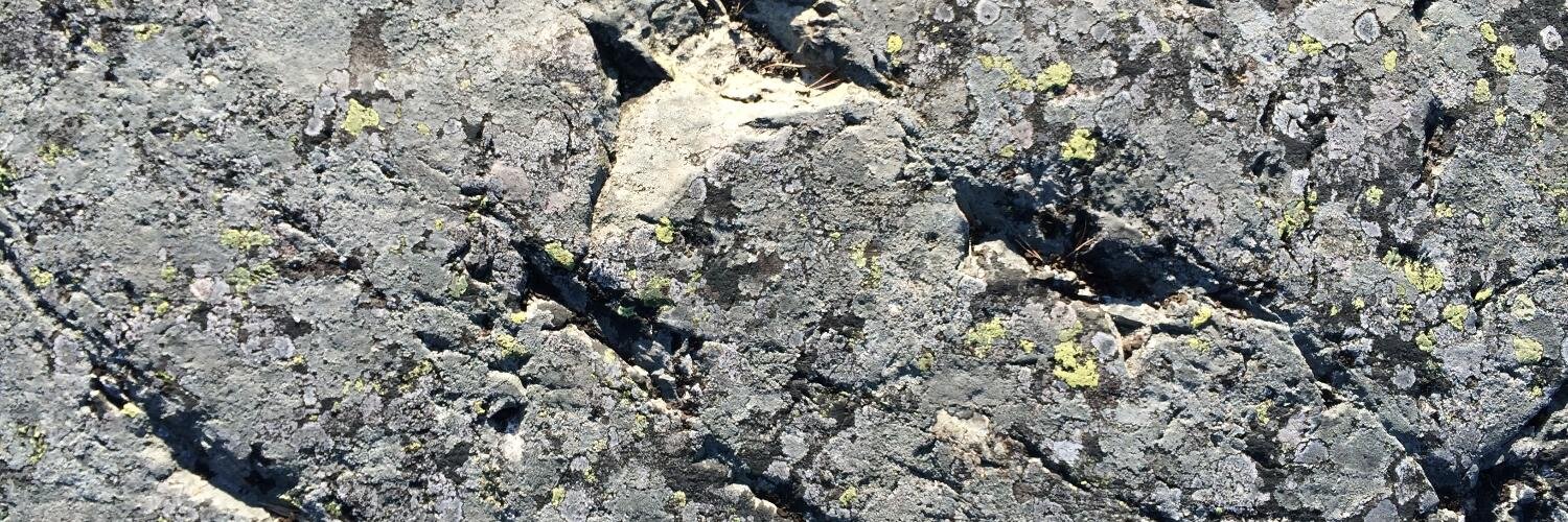 Claes Bäckman banner