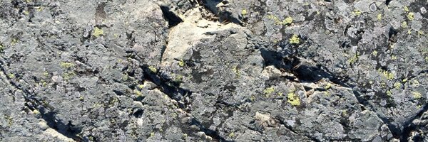 ClaesBackman Profile Banner
