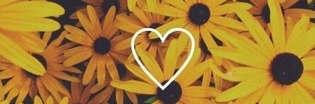 SheilaPlanells's profile banner image