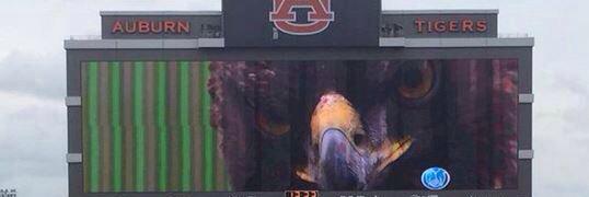 AUscoreboard's profile banner image
