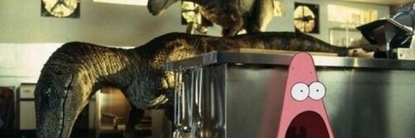 ErinDobby Profile Banner