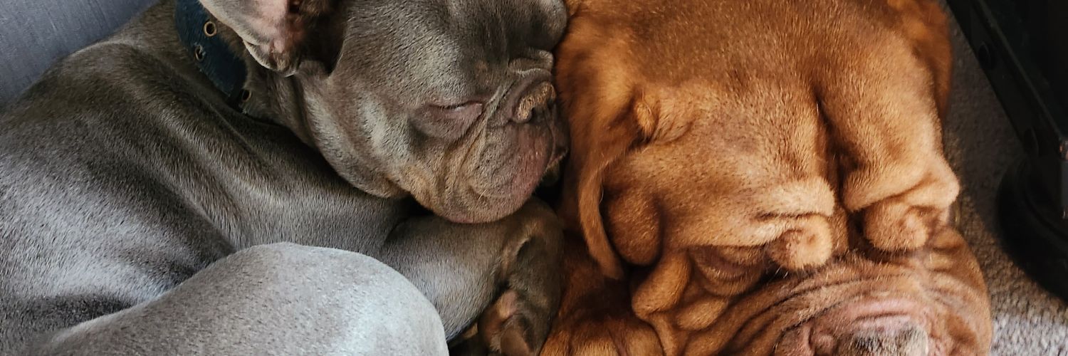 ROBO 🇺🇸 banner