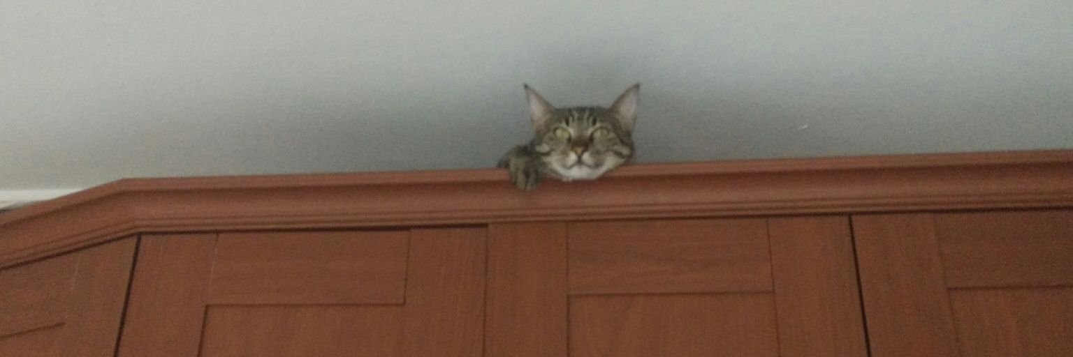 Aşkın Işık🇹🇷🔆🇪🇸 banner